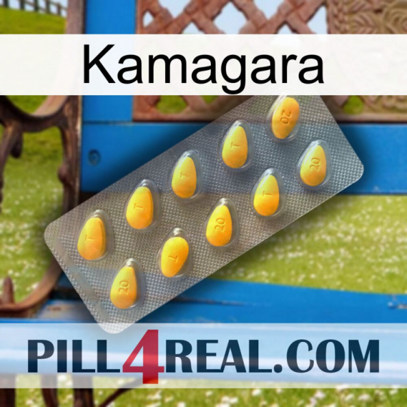 Kamagara cialis1.jpg